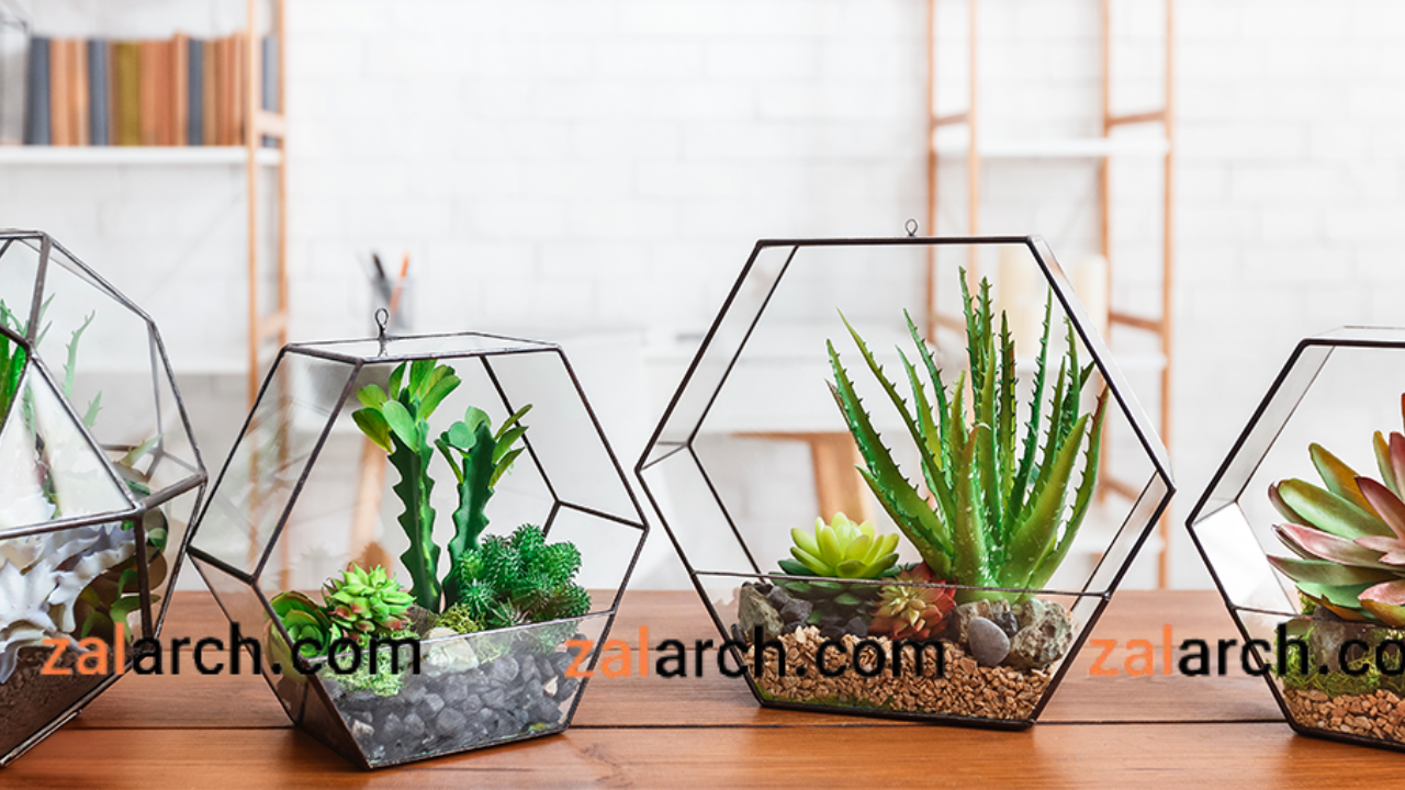انواع تراریوم بسته و باز در دکوراسیون داخلی