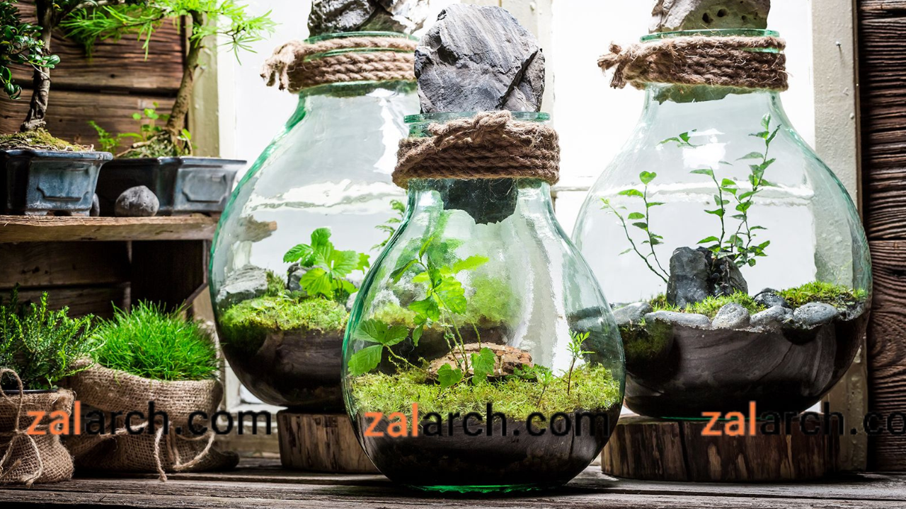 انتخاب گیاهان مناسب برای ساخت تراریوم