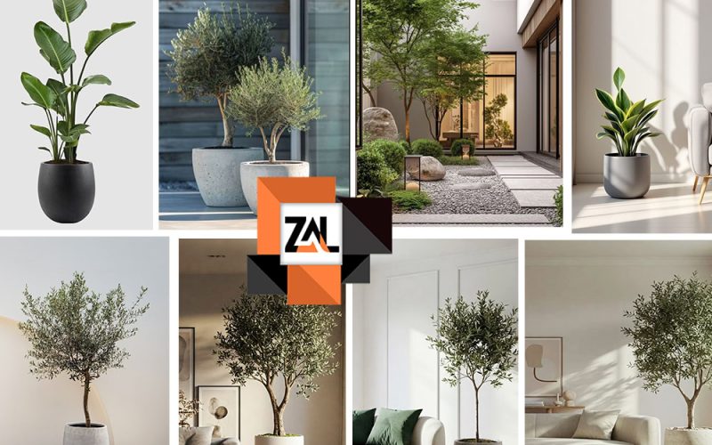 گیاهان مخصوص برای دکوراسیون